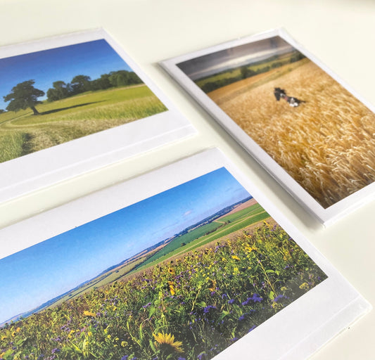 Greetings Cards (3 Pack) - Playing in the fields (6771832783006)
