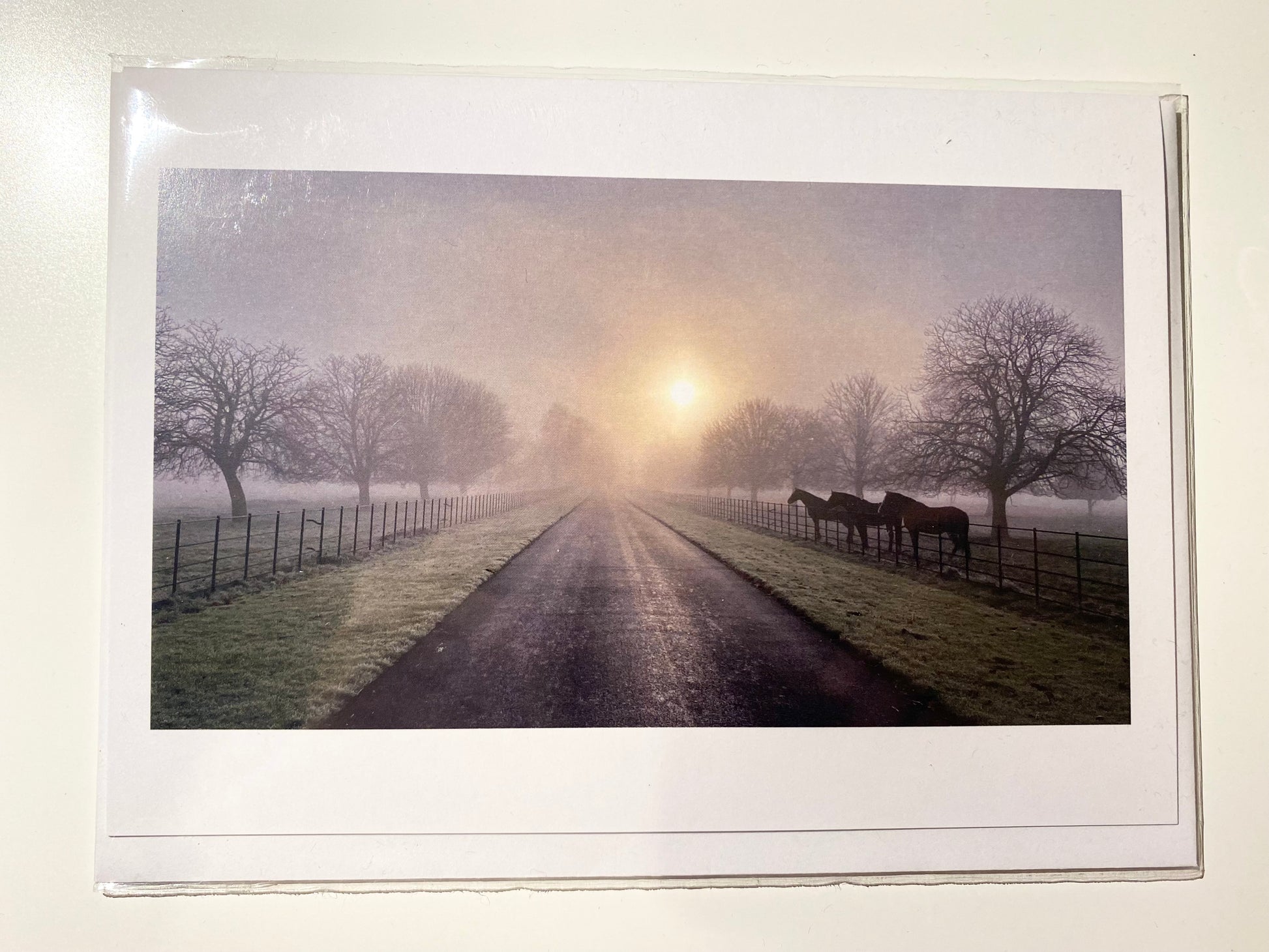 Greetings Cards (3 Pack) - Misty, Wintry Morning (7001089704094)