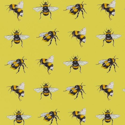 Wrapping Paper & Gift Tag - Yellow Bees by Sophie Botsford