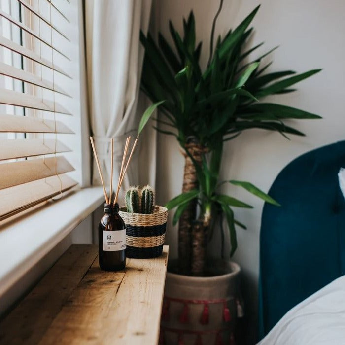 Handmade Candle Co. Cassis & Wild Fig Reed Diffuser – Eco Living ...